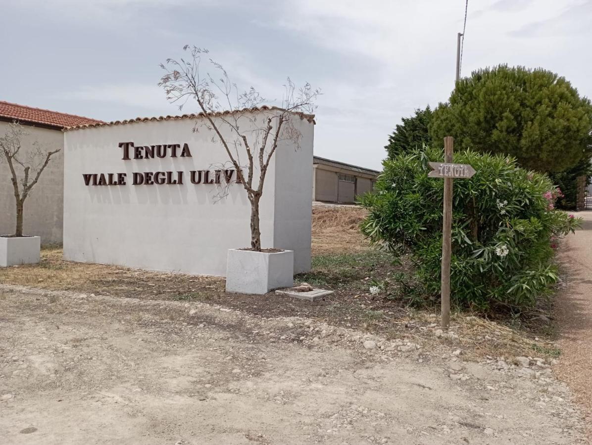 Tenuta Viale Degli Ulivi San Martino in Pensilis Exterior foto