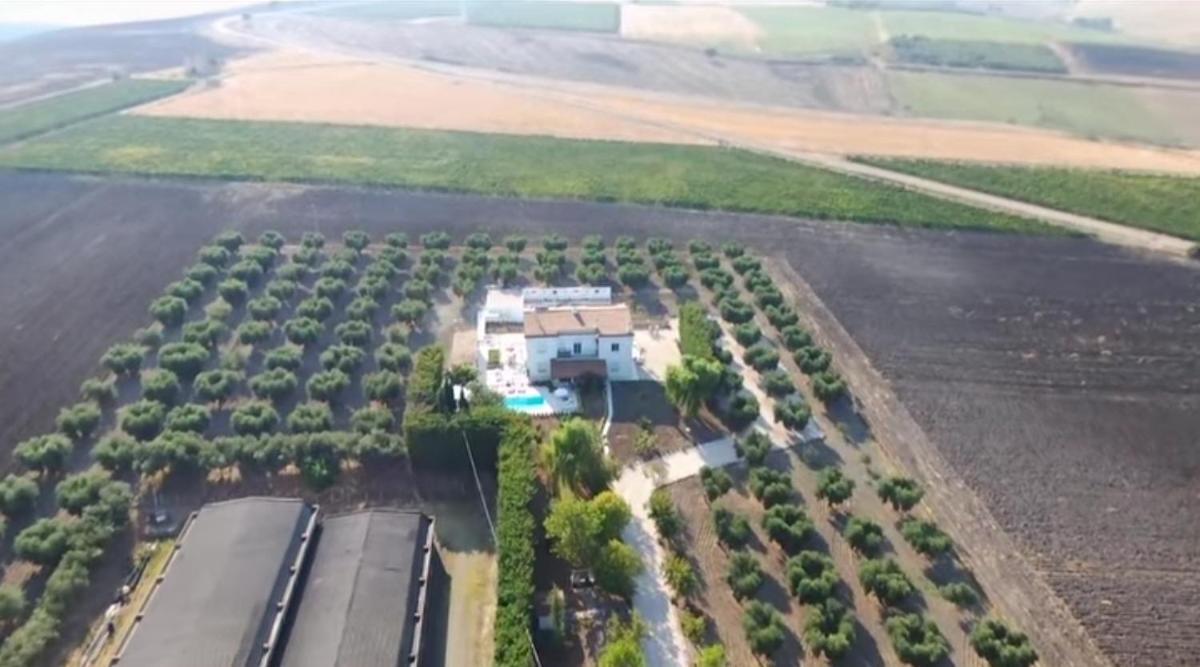 Tenuta Viale Degli Ulivi San Martino in Pensilis Exterior foto