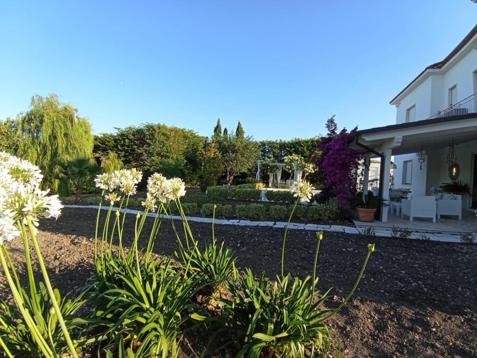 Tenuta Viale Degli Ulivi San Martino in Pensilis Exterior foto