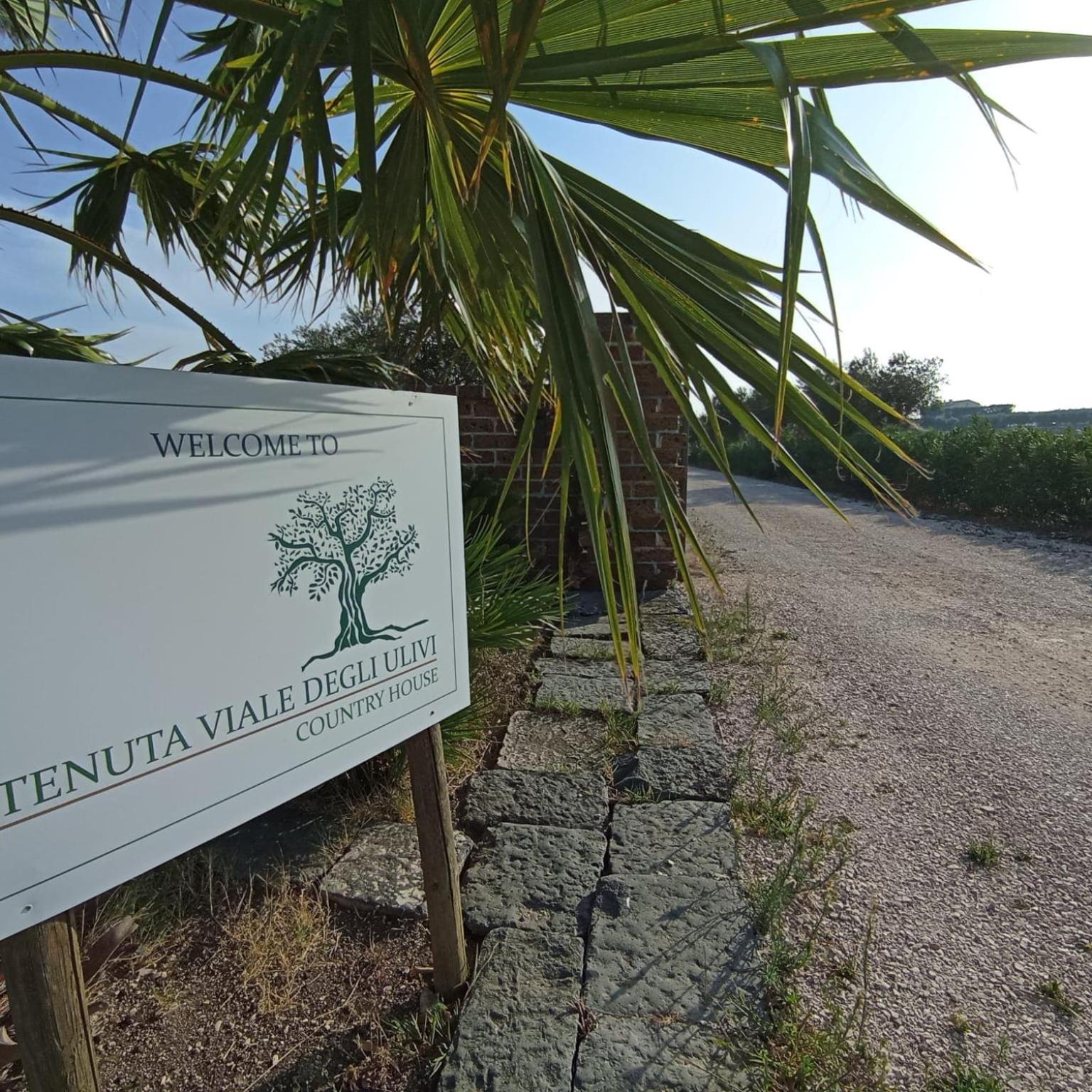 Tenuta Viale Degli Ulivi San Martino in Pensilis Exterior foto