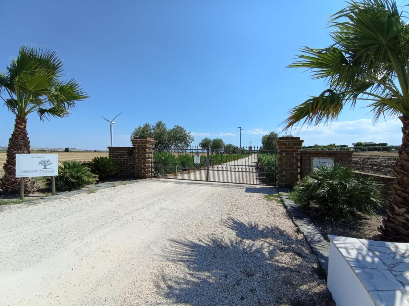 Tenuta Viale Degli Ulivi San Martino in Pensilis Exterior foto