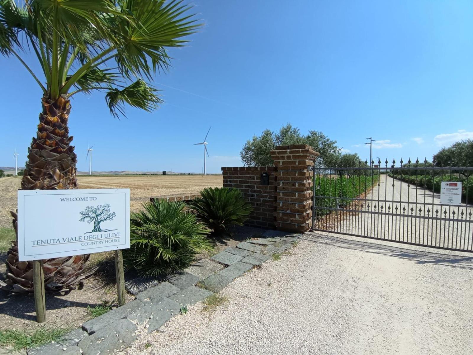 Tenuta Viale Degli Ulivi San Martino in Pensilis Exterior foto