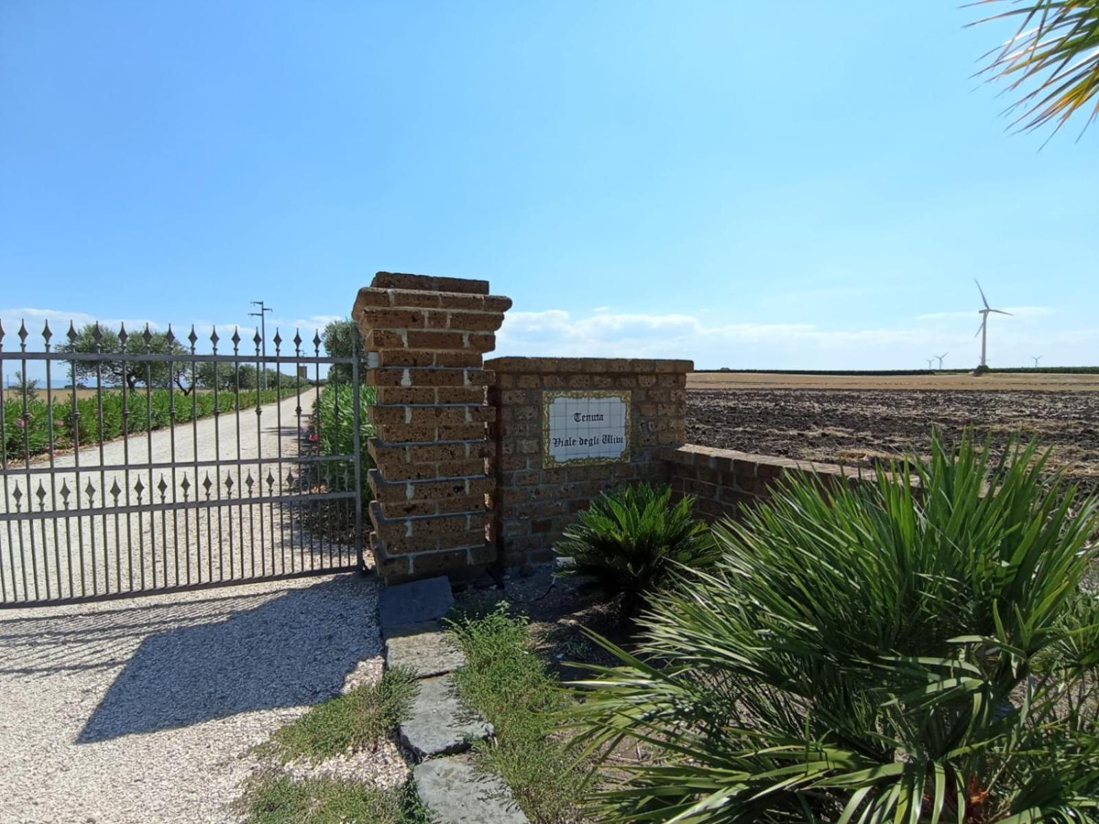 Tenuta Viale Degli Ulivi San Martino in Pensilis Exterior foto